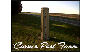 Corner Post Farm