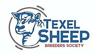 Texel Sheep Breeders