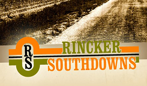 Rincker Southdowns