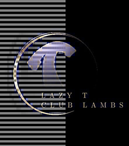 Tarr Club Lambs