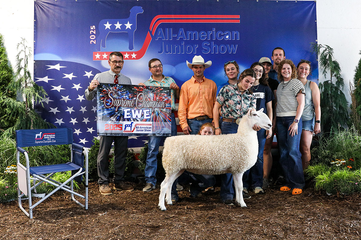 2023 Supreme Champion Ewe