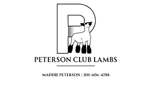 Peterson Club Lambs