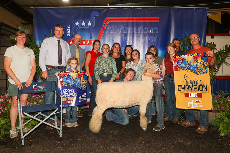 Supreme Champion Ewe