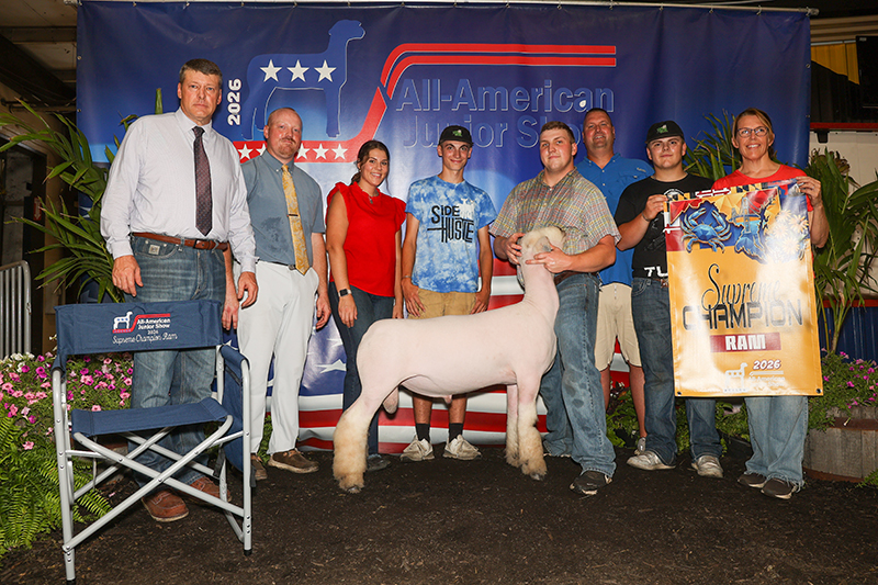 Supreme Champion Ram